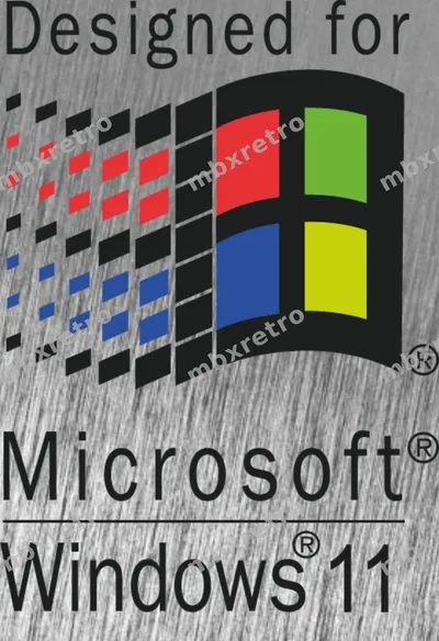Windows 11